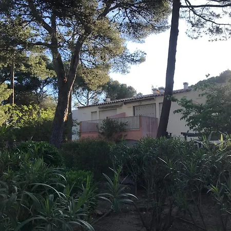 Neue Moderne Apartment